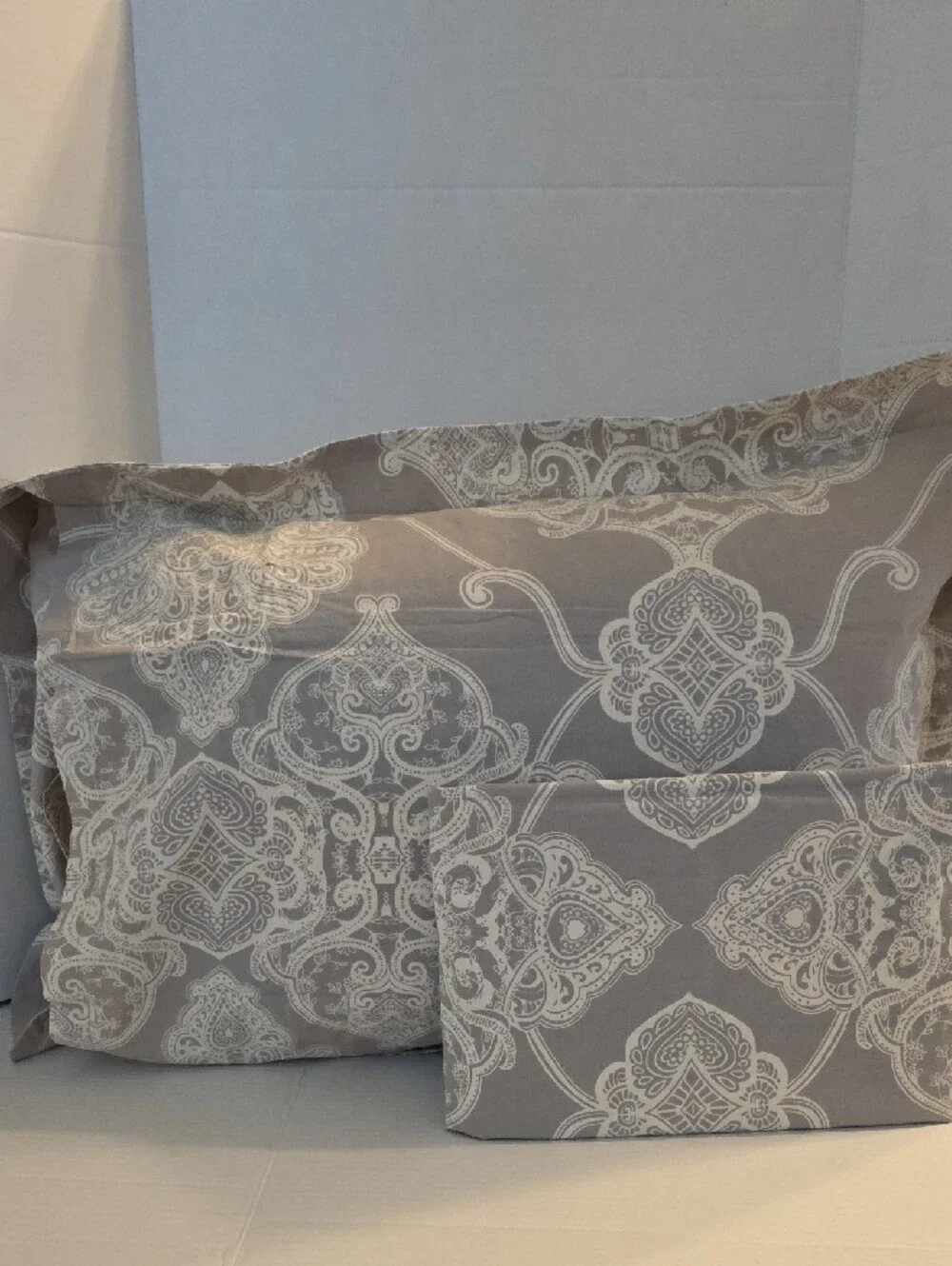 Pottery Barn Alana Medallion Taupe Ivory Ombre Cotton Standard Pillow Sham Set